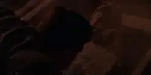 Indiana Jones e l'ultima crociata, il trailer del film