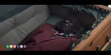 Un tranquillo funerale di famiglia, il trailer del film