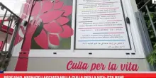 Bergamo, neonato lasciato nella Culla per la vita: sta bene