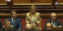 Meloni in Senato: 'Hamas deve essere disarmato'