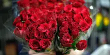 Maturit&agrave;, che mazzo di fiori regalare per il diploma