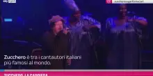 Zucchero, la carriera