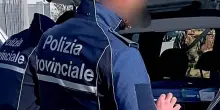 Aversa, abbandona la cagnolina che muore investita: rischia 7 anni