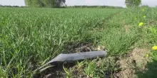 Estonia, drone ucraino abbattuto dalla Nato