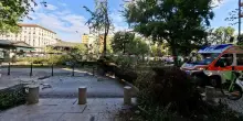 Crolla un albero in piazza Risorgimento a Milano, passanti feriti
