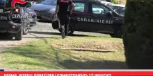 Parma, scoperto giro di combattimenti tra pitbull dopati