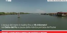 Siccit&agrave;, il mare risale lungo il Po: raccolti a rischio