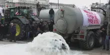 Milano, proteste agricoltori: latte rovesciato al Pirellone