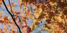 Meteo, ancora sole sull&rsquo;Italia: quando inizia il &ldquo;vero&rdquo; autunno?