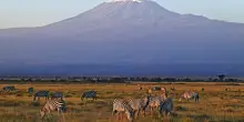 Viaggi, Alpitour lancia un nuovo itinerario: da Milano al Kilimanjaro