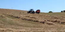 Coltiva Italia, ok dalla Camera: in arrivo 1,1 mld per l'agricoltura