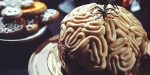 Per Halloween arrivano i panettoni a base di zucca e cioccolato