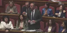 M5s sventola in Senato cappellini di protesta in stile Maga
