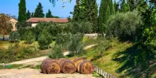 Turista israeliana prenota agriturismo: Benvenuta se contro Nethanyahu