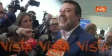 Salvini: Enac al lavoro per far viaggiare cani e gatti in cabina e non in stiva