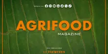 Agrifood Magazine - 28/5/2025