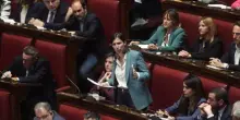 Femminicidi, Schlein a Meloni “Lavoriamo a una legge anti-violenza”
