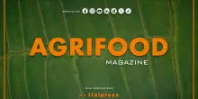 Agrifood Magazine - 2/7/2025