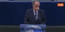 Ruotolo (Pd): "L'Italia non è in regola con il Media Freedom Act"