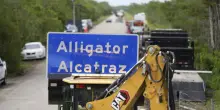 Alligator Alcatraz, due italiani tra i detenuti. I familiari: "Campo di concentramento"
