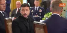 Zelensky alla Casa Bianca, la pacca sulle spalle di Trump, poi la stretta di mano con Jd Vance