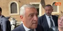 Tajani: Scontro con Maiorino? "Nessun chiarimento con Conte, sono stupefatto"