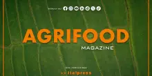 Agrifood Magazine - 29/10/2025
