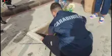 Nel Catanese sequestrate le aree di un cimitero per carenze igienico-sanitarie