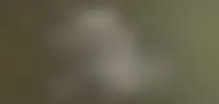 Giornata Nazionale Abiti Storici: identità, Made in Italy e storia