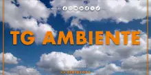 Tg Ambiente - 9/11/2025