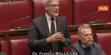 Mollicone (FdI): Presenteremo una mozione di maggioranza a tutela del buon giornalismo