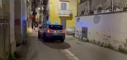 Blitz anti camorra contro il clan D'Alessandro, 11 arresti nel Napoletano