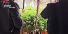 Bunker sotterraneo con piantagione "indoor" di marijuana a Platì, 2 denunciati
