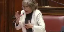 "Come chi uccide la moglie", la M5s perde la testa contro Valditara | VIDEO