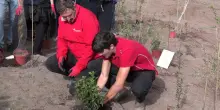 TIM pianta 400 nuovi alberi a Roma per contribuire al miglioramento urbano