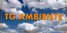Tg Ambiente - 16/11/2025