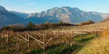 Trentodoc, la firma del Trentino nel mondo delle grandi bollicine