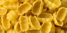 Barilla, a Parma investimento da 20 milioni per nuovo centro Ricerca e Sviluppo