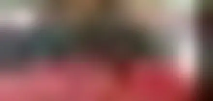 Torino Film Festival al via, è subito parata di star sul red carpet