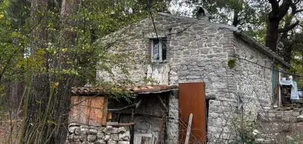 Chieti: botta e risposta Nordio-Anm su famiglia nel bosco, Salvini "un sequestro"