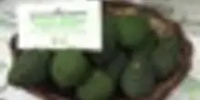 Lidl punta sull'avocado dell'Etna: 172 ton in ultima stagione (+120%)