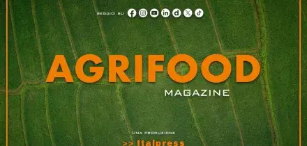 Agrifood Magazine - 26/11/2025
