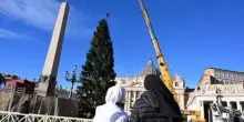 Per Papa Leone un albero di Natale di 27 metri innalzato a piazza San Pietro