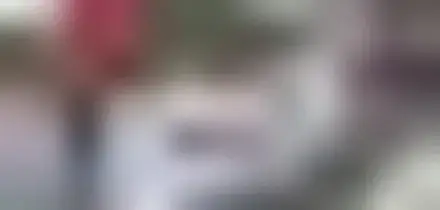 Germania, proteste contro il congresso dell'ala giovanile di AfD