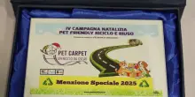 Al via la campagna solidale “Pet Carpet: Un riciclo da Oscar”