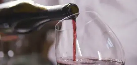 Vino, Spiriti e Aceti: La Filiera Italiana Resiste