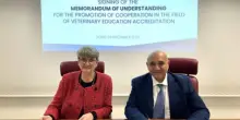 ANVUR-EAEVE: un'intesa per la valutazione della qualità in Medicina Veterinaria