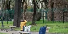 Colle Oppio fa paura tra sbandati e delinquenti. "Un rischio andare al parco"