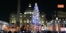 L'accensione dell'albero di Natale e l'inaugurazione del presepe a Piazza San Pietro