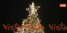 Ecco l'albero di Natale di Piazza del Popolo a Roma